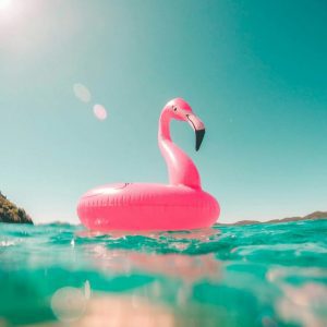 vicko-mozara-m82uh_vamhg-unsplash